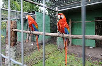 Marcelo Vilela Moreira Araçatuba - Foto 1