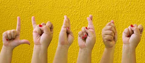 Linc Serviços - Foto 1