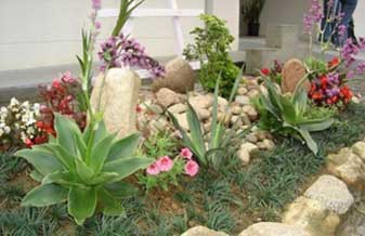 Arall Araçatuba - Foto 1