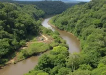 reflorestamento ribeirão Baguaçu