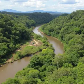 reflorestamento ribeirão Baguaçu