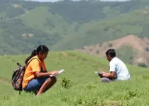 vagas de estágio do BEEM