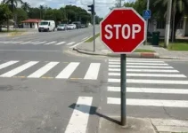 respeito à faixa de pedestres