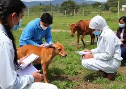 Últimas noticias de Araçatuba
