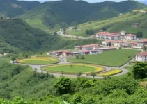 Cadeias produtivas Araçatuba