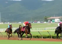 Campeonato Nacional do Quarto de Milha