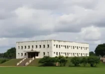 desburocratização