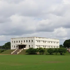 desburocratização