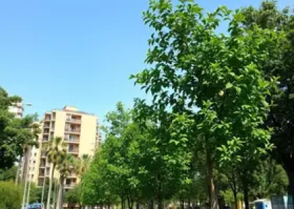 Últimas noticias de Araçatuba