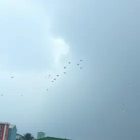 Alerta amarelo