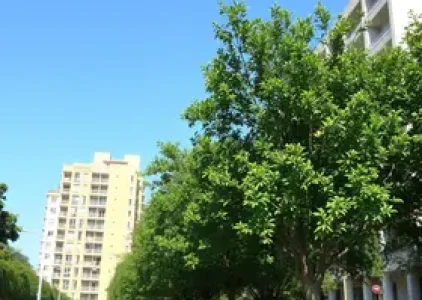 Últimas noticias de Araçatuba