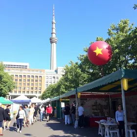 Feira Viva