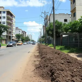 compactação do solo