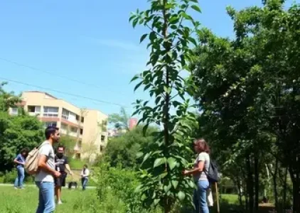Últimas noticias de Araçatuba