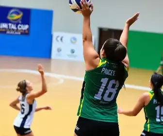 Copa São Paulo de Voleibol Feminino