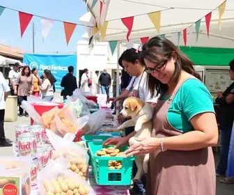 Feira Viva