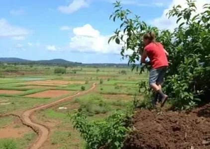 Últimas noticias de Araçatuba