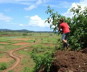 Operação El Niño